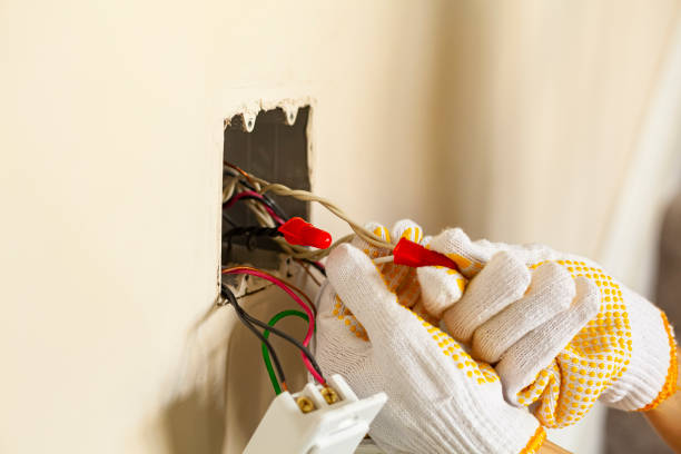 Best Electrical Panel Upgrades  in Homewood, IL